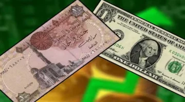 خسارة 40 قرشًا.. تراجع مفاجئ في سعر الدولار بالبنوك خلال أسبوع واحد فقط